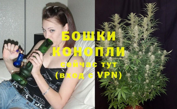 кокаин колумбия Богданович