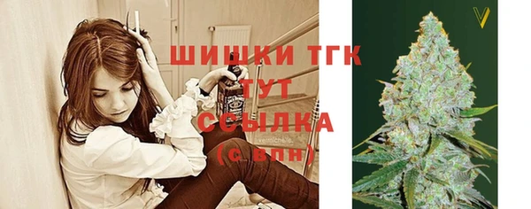 сатива Бугульма