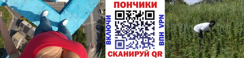 МАРИХУАНА VHQ  Петрозаводск 